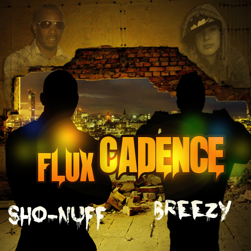 fluxcadence