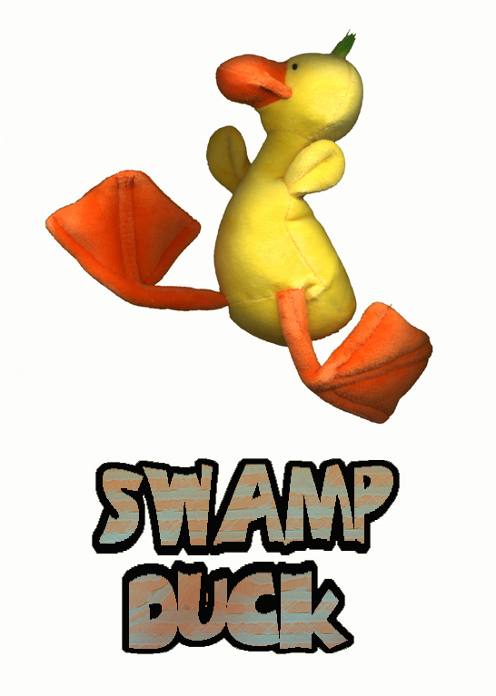 Swamp Duck