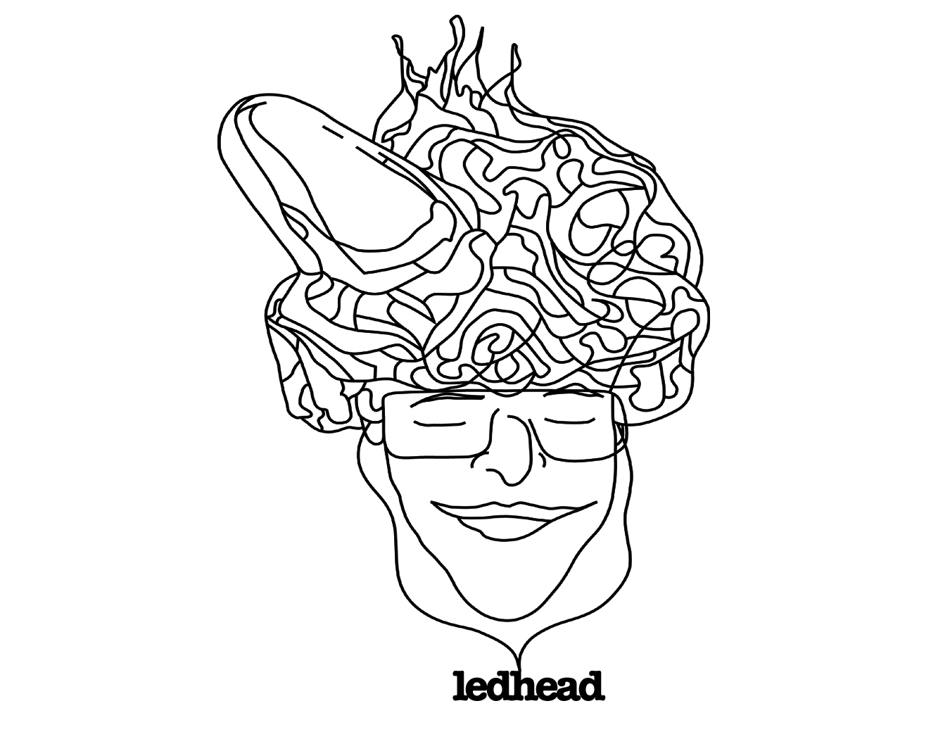 ledhead